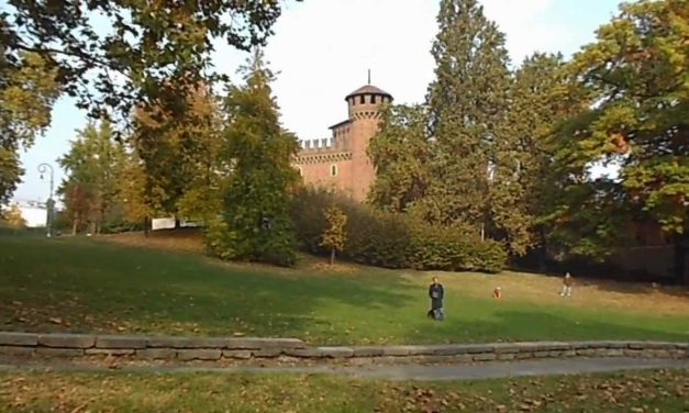 Parco del Valentino: controlli straordinari e arresti