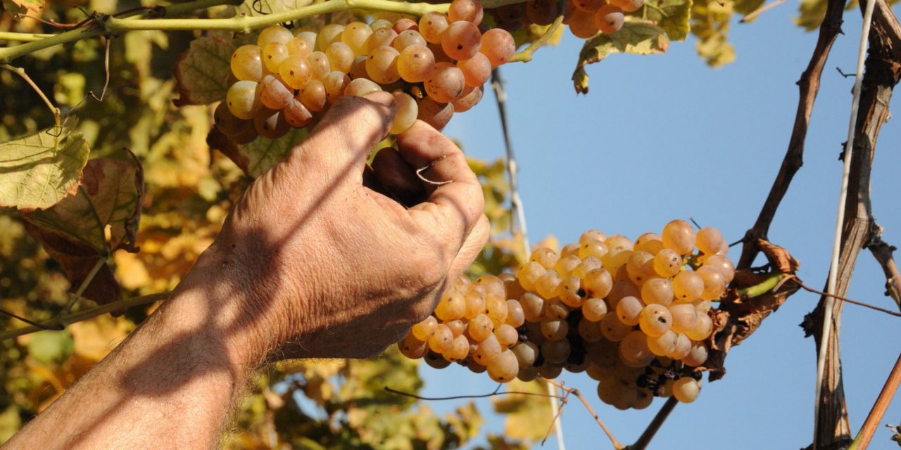 Appuntamenti di sabato 15 settembre