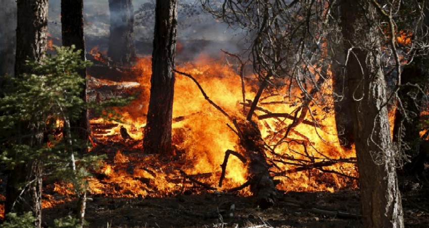 Gli incendi boschivi continuano a preoccupare l’Amministrazione Regionale