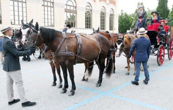 IVREA – E arriva il weekend dei cavalli