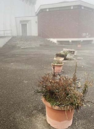 IVREA – Sul sagrato della chiesa del Sacro Cuore vandali si accaniscono su vasi e fioriere