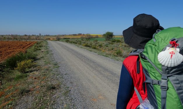 PILLOLE DI MISSIONARIETA’ – Il buon cammino