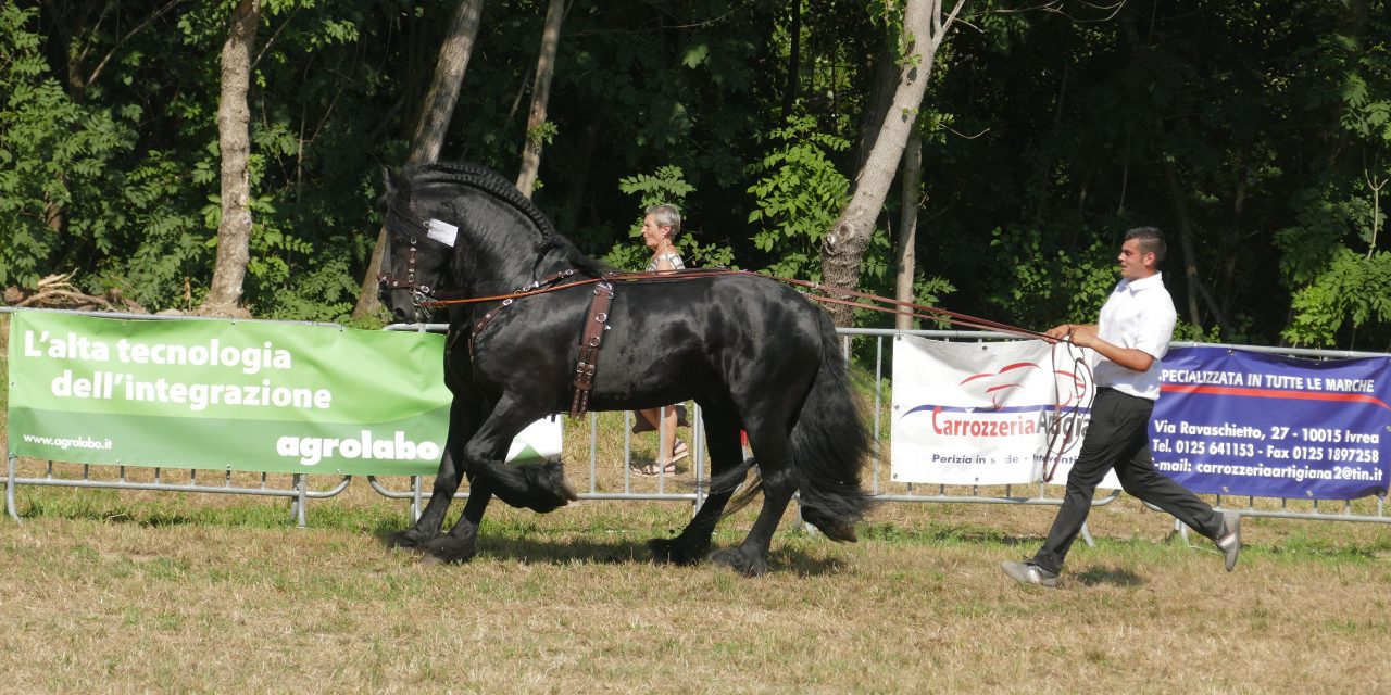 CANAVESE – Gli appuntamenti del weekend