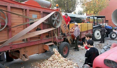 BANCHETTE – Pignoletto rosso e antiche cultivars di mais piemontesi: la sagra