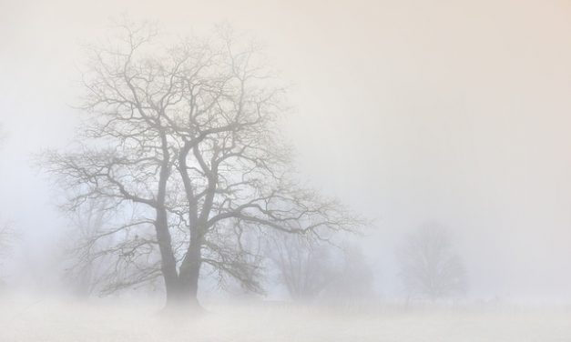 IL DITO NELLA PIAGA (di Fabrizio Dassano) – Arriva la nebbia che al mattino tutto cela