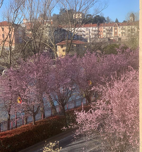 Ma dove sarà finita l’acqua della Dora? (di Fabrizio Dassano)