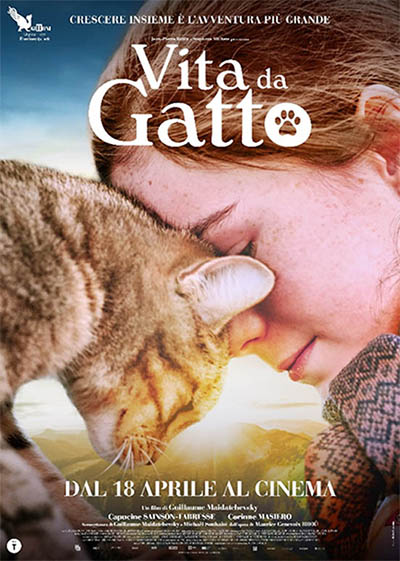 DIETRO LO SCHERMO (di Graziella Cortese) – Vita da gatto