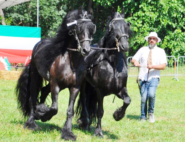 CANAVESE – Gli appuntamenti del weekend