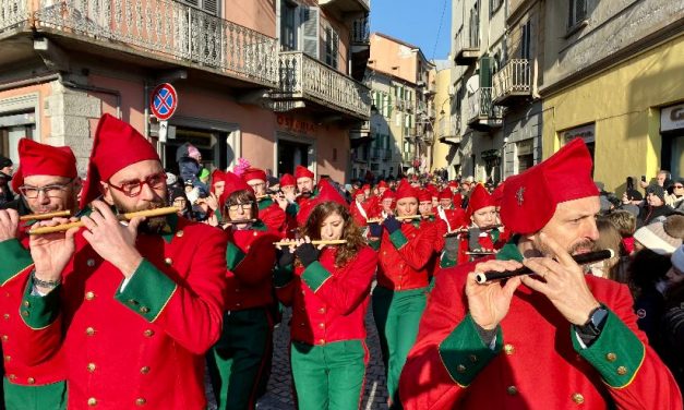 STORICO CARNEVALE DI IVREA – Bando per il sostegno economico destinato ad iniziative promosse dalle Componenti