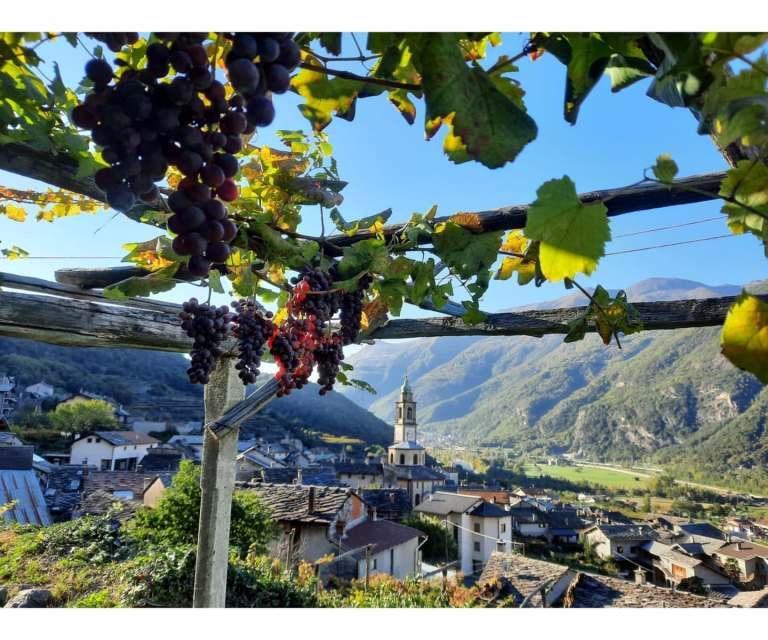 CAREMA – Torna dal 26 al 29 settembre la Festa dell’Uva e del Vino